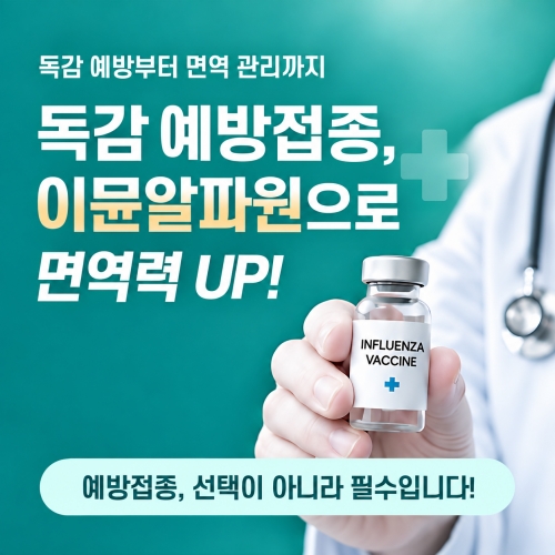 팝업